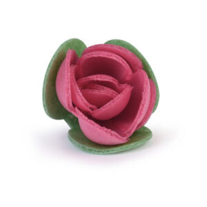 ROSE IN CIALDA FUCSIA  CON FOGLIE