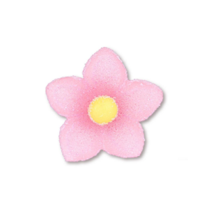 CROCUS GE/ZU (6 COL.)