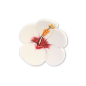 FIORI DI IBISCO ASS.(5 MOD)