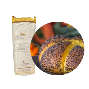 NUCLEO PER ZUCCA