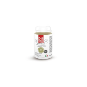 COLOR. POLVERE PERLATO 25 GR ORO