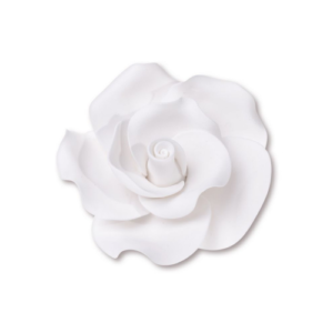 SET ROSE BIANCHE