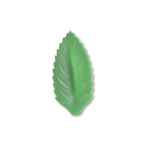 FOGLIA PICCOLA CIALDA VERDE