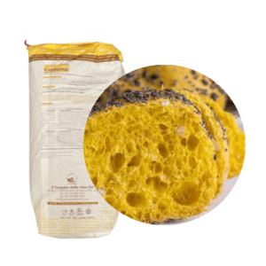 NUCLEO CURCUMA