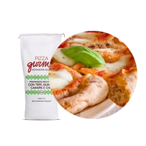 NUCLEO PIZZA CON TEFF QUINOA CANAPA E CHIA