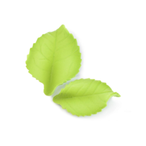 FOGLIA OVATA(2 MOD)